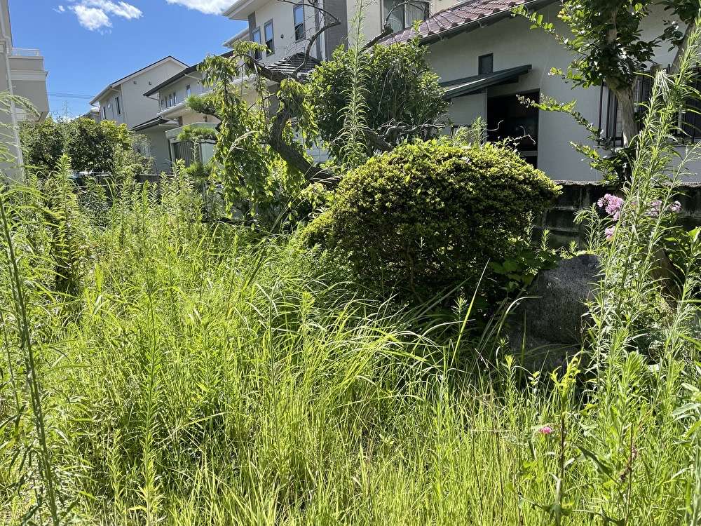 「本日の作業」一般宅の草刈作業 剪定 除草 福岡市 西区